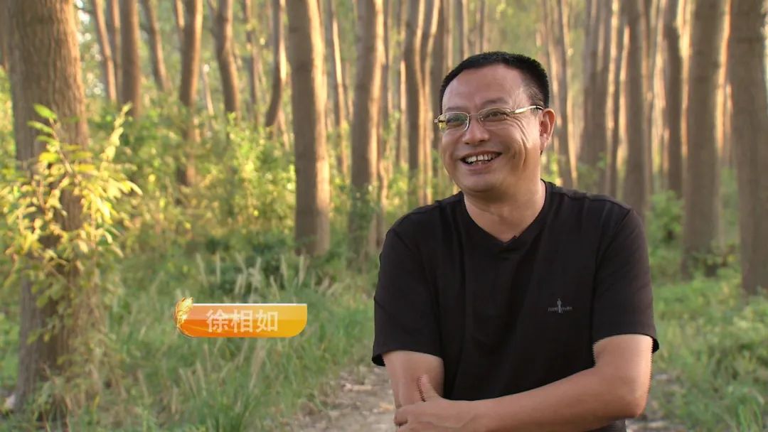 徐相如：抓住机遇果断行动，从积累财富到转行开启新事业历程